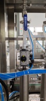 Remplisseur automatique de désinfectant pour les mains de boisson de jus d'eau Machine de remplissage de liquide d'huile de bouteille en verre en plastique PET à 6 buses