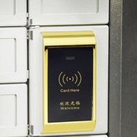 Smart 125KHZ RFID Bracelet de casier électronique armoire à clés Serrure à carte en zinc durable Caractéristique antivol pour portes de parc aquatique Spa Gym