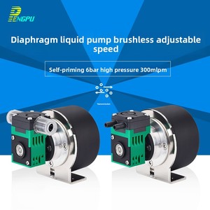 Micro-sized Diaphragm Pump 12V Adjustable Speed Self-priming 24V Brushless Gas-<b>Liquid</b> Dual-Use High-Pressure Water Pump L01BW Hi - Product Image 3