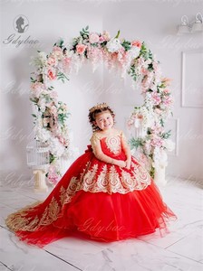 Rosso Puffy Tulle principessa oro Appliques delaminazione abiti da ragazza fiore fiocco lungo spettacolo festa di nozze Mini palla Quinceanera - Product Image 6
