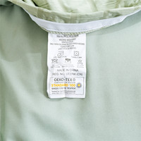 Ensemble de literie moderne et minimaliste toutes saisons Housse de couette en fil de mousse Polyester brossé Taie d'oreiller Housse de couette de luxe