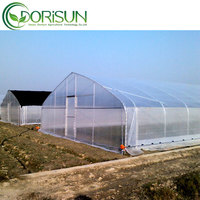 Serre verte Tunnel Invernaderos Polycarbonate Multi-span Serre commerciale agricole pour la culture de tomates serre verte