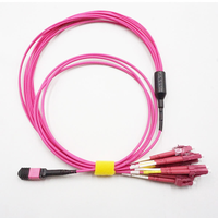 Kabel Breakout Elite Low Loss MPO ke LC 12 Core OM4 Multimode 50/125 LSZH 2.0mm/0.9mm Fan-out Harness Fiber Patch Cord