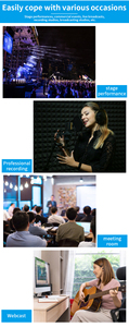 Mezclador de Audio <span class=keywords><strong>Profesional</strong></span> LAIKESI <span class=keywords><strong>PM</strong></span> 1000-2 de 10 Canales con Salida de Amplificador de 2x700W, Efectos Digitales de 2x99 Bandas, Ecualizador de 4 Bandas por Canal 1 - Product Image 4
