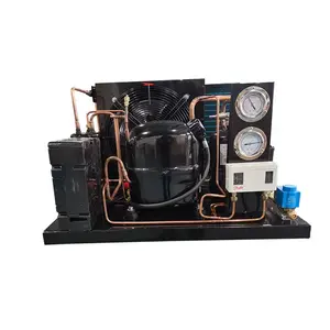 1,5 Pk TAJ-4519Z 3 Fase 380V 50Hz R404a Condensatie-Eenheid Met Tecumseh Compressor Voor Koude Kamer Inloopvriezer Systeem