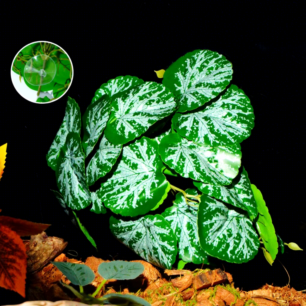 Green and white begonia leaves with suction cup