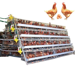 Vendita calda un tipo automatico di bambino pulcino gabbia di pollo cova cova giorno vecchio pulcino piccolo pollo - Product Image 2