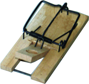 Bstw kiểm soát dịch hại sản phẩm nhanh chóng bắt động vật gặm nhấm <span class=keywords><strong>Killer</strong></span> rat bẫy nóng bán gỗ Pest Control <span class=keywords><strong>Mouse</strong></span> <span class=keywords><strong>Killer</strong></span> - Product Image 3