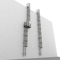 Adaptez l'échelle en acier galvanisée extérieure enduite d'évacuation de secours de poudre antirouille