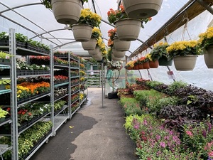 500kgs tải Vườn Ươm Rack hiển thị Đan Mạch Xe đẩy dây lưới hoa dịch vụ giỏ hàng trồng hoa giỏ hàng - Product Image 5