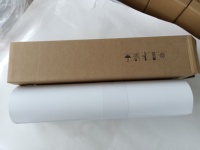 Papier photo mat en suède 240 g/m², imperméable, impression jet d'encre numérique, feuilles d'art fantaisie pour livres, albums, portefeuilles