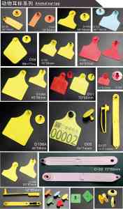 Nouveaux arrivages : étiquettes d'oreille pour animaux en plastique TPU, étiquettes RFID UHF pour la gestion du bétail en ferme - Product Image 6