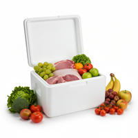 Caja Refrigeradora de Espuma Aislante de Poliestireno Térmico, Caja de Cartón Aislante para Envío de Alimentos Congelados en Cadena de Frío, Caja Refrigeradora Reutilizable