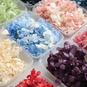 Vente en gros de fleurs d'hortensia naturelles, réelles, préservées, séchées et pressées, à bas prix, pour la fabrication de bougies, de savons, de résines et la décoration artistique. - Product Image 2