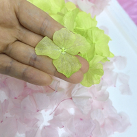 Bunga Asli Awetan Sentuhan Alami Kelopak Murni Putih Pink Krim Mawar Anna Hydrangea Daun Besar Biodegradable untuk Konfeti Pernikahan