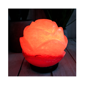 Artisanat naturel de qualité supérieure Meilleure qualité Conception personnalisée Logo et emballage Lampe en cristal de sel de l'Himalaya magnifiquement sculptée - Product Image 4