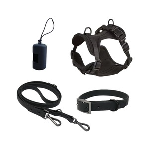 Ensemble laisse et harnais pour chien, style gilet, réglable, violet, équipement de promenade pour petit chien - Product Image 5