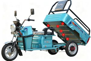 <span class=keywords><strong>Triciclo</strong></span> Eléctrico <span class=keywords><strong>de</strong></span> <span class=keywords><strong>Carga</strong></span> <span class=keywords><strong>Económico</strong></span> <span class=keywords><strong>de</strong></span> 500W para Uso Doméstico - <span class=keywords><strong>Triciclo</strong></span> Eléctrico <span class=keywords><strong>de</strong></span> 3 Ruedas <span class=keywords><strong>de</strong></span> 48V/60V para Jardín y Transporte <span class=keywords><strong>de</strong></span> Mercancías Ligeras - Product Image 6