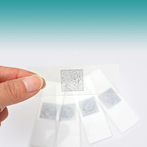 医学教育寄生虫学スライドセット機器 ジアルジア・ラムビアの胞子 W.M. - Product Image 3