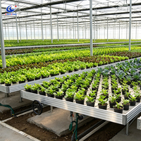 Chenchao Custom Banco Rodante avec bacs de culture en ABS résistant aux UV, table hydroponique à flux et reflux pour plantes médicinales d'intérieur