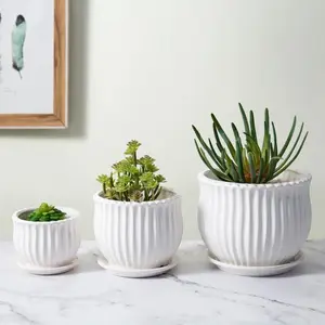 Estalee 3 Stuk Keramische Pot Planter Set