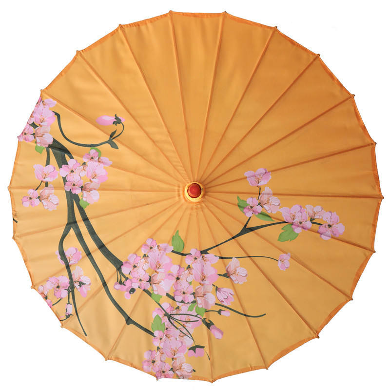 มีสีสัน4