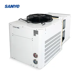 SANYE Hochwertiger Kompressor Kühlschrank Monoblock-Kühlgerät Verflüssigereinheit Kühleinheit für Kühlraum