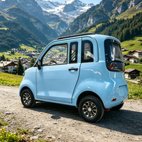 Voiture électrique mini EV à deux portes et deux places, sans permis, quatre roues, 45 km/h, pour adultes, fermée, certifiée EEC / COC / CE