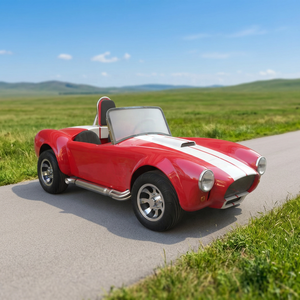 2026 Mini Two-seater Electric Sightseeing Black Classic Cart New Energy Tourism Cobra Convertible Electric Cart - Product Image 1