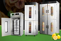 Nieuwe 220V Kleine Voedseldroger Voor Het Drogen Van Fruit Zoals Sinaasappels En Bananen