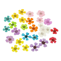 Fiori di narciso mini naturali pressati ed essiccati per ciondoli in resina, segnalibri, forniture per lavoretti fai da te, progetti educativi per bambini