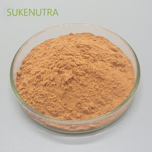 Zimt-Rindextraktpulver mit 30 % Polyphenolen zur Unterstützung des Zuckerstoffwechsels - Product Image 5