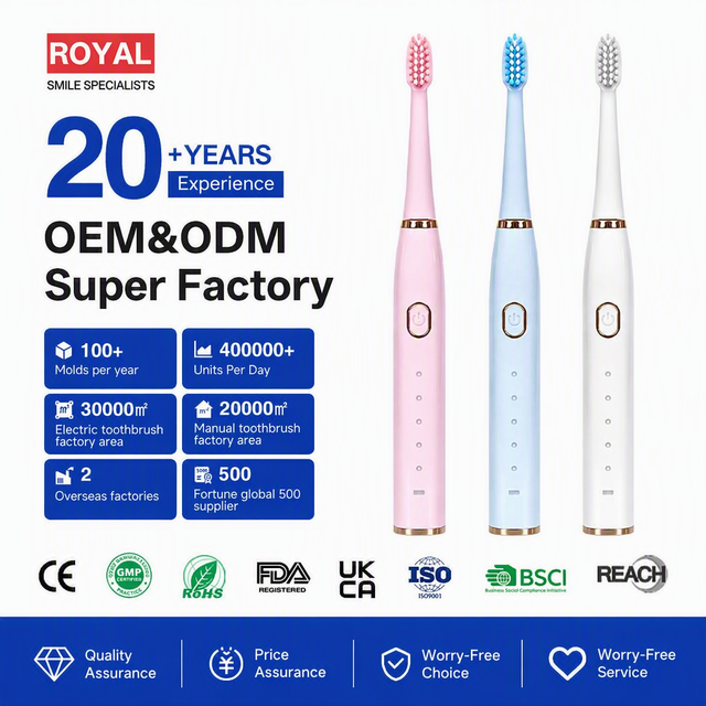FDA Acceptable Factory Wholesale Price Electric Toothbrush USB Rechargeable Electronic Dental Brush OEM ODM
