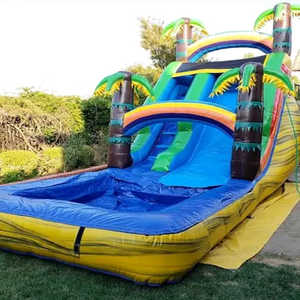 Tobogán Acuático Inflable de PVC Comercial Resistente al Fuego de 8x4x6m y Casa de Brinco Colorida para Adultos y Niños - Product Image 4