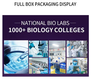 Crema para agrandar Penny de marca blanca personalizada para hombre, crema para agrandar Penny, la mejor crema para agrandar para hombre - Product Image 4