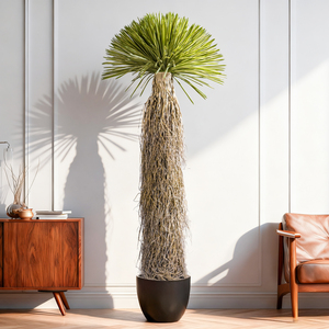 Arbre artificiel en dracaena vert en gros, plante en plastique, décoration d'intérieur, arbre en dracaena en plastique de haute qualité - Product Image 3