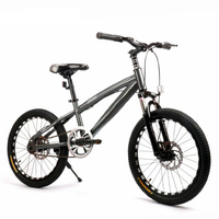 Vélo de montagne pour enfants de 20 pouces, alliage de magnésium, frein à disque, vitesse unique, fourche en acier, cadre à suspension arrière, suspension souple, 14 ans, garçon