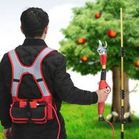 Les nouveaux ciseaux électriques à main haute puissance avec lames en alliage SK5, extension de 2,1 m et poids de 10 kg pour la taille des arbres fruitiers