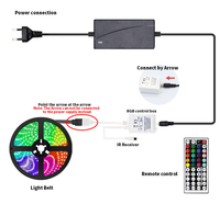 Ensemble de bandes lumineuses 5050RGB 12V basse tension 44 touches LED bande lumineuse de fond TV