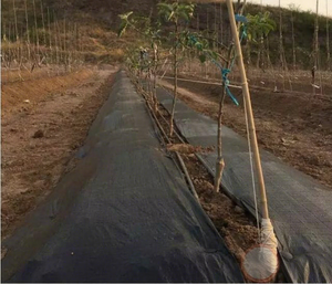 עשב מחצלת שטח סיטונאי 100% hdpe גן פרח עמיד למים בד שמש נטו עיבוד חקלאי שירות כולל - Product Image 4