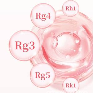 Пищевая паста из красного женьшеня с редким женьшеном Rg3 для растительных напитков, конфеты, концентрат, экстракт - Product Image 2