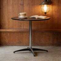 Table de cocktail multifonctionnelle en métal et contreplaqué pour l'intérieur et l'extérieur, idéale pour les banquets, les événements, les fêtes, les hôtels, les cafés, ainsi que les chaises.