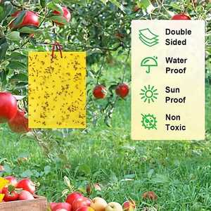 Piège à mouches jaune en gros à prix abordable, diverses spécifications, piège adhésif jaune en gros, plusieurs tailles disponibles - Product Image 6