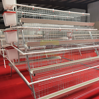 Nouvelle cage à poulets en acier galvanisé à chaud de type A à 4 portes et 4 niveaux, avec collecte automatique des œufs, haute résistance à la corrosion, CE