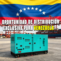 Générateur Diesel Silencieux Triphasé 200 kVA (200 kVA) Marque Américaine Weichai FAW Ricardo 100 000 Watts du Venezuela