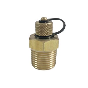 1/2 vào. NPT bspt Brass kiểm tra chất kết dính cắm loại ngắn - Product Image 1