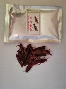 Fábrica chinesa alta nutritiva gafanhoto fresco para seus adoráveis animais - Product Image 2