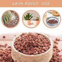 Batu Lava Merah 3/8"-1/4" untuk Campuran Tanah Bonsai, Sukulen & Kaktus Eksterior