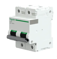 Disjoncteur Schneider C120H 2 pôles D80A, haute capacité de coupure pour circuits électriques industriels