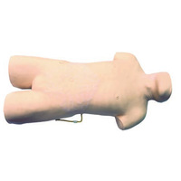 Modèle d'entraînement complet pour ponction veineuse sur le torse, simulateur de ponction veineuse interne (jugulaire, sous-claviculaire) pour l'enseignement médical